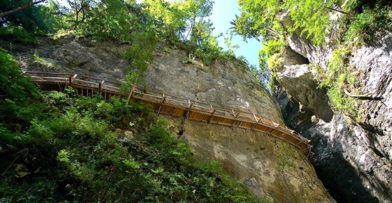 From Bled: Half-Day Pokljuka Gorge Trail Hike - Why This Tour Represents Good Value