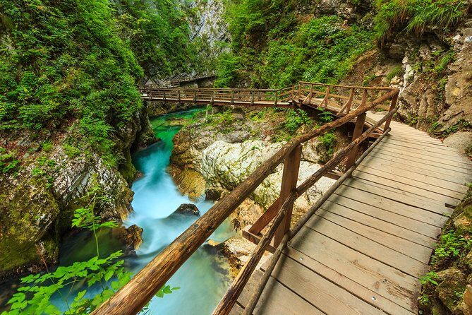 From Bled: Self-Guided E-Bike Tour to Vintgar Gorge - Final Thoughts