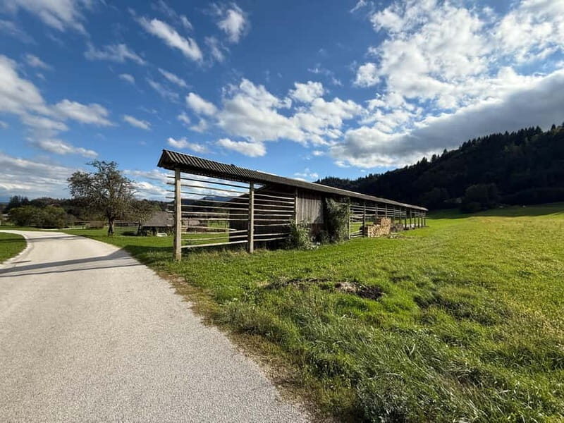 From Bled: Self Guided E-Bike Trip to Triglav National Park - An In-depth Look at the Radovna Valley E-Bike Trip