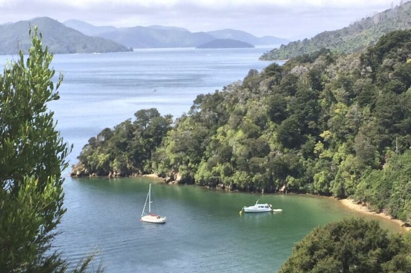 From Blenheim/Picton: Marlborough Gourmet Wine Tasting Tour - A Deep Dive into the Marlborough Gourmet Wine Tasting Tour
