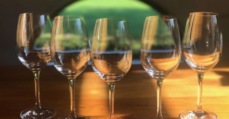 From Blenheim: Private Customizable Winery and Omaka Tour - Who Is This Tour Best For?