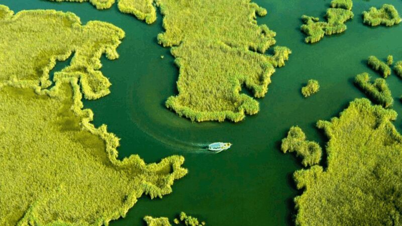 From Bodrum: Dalyan, Turtle Beach, and Mud Baths Day Trip - The Value Angle: Is It Worth It?