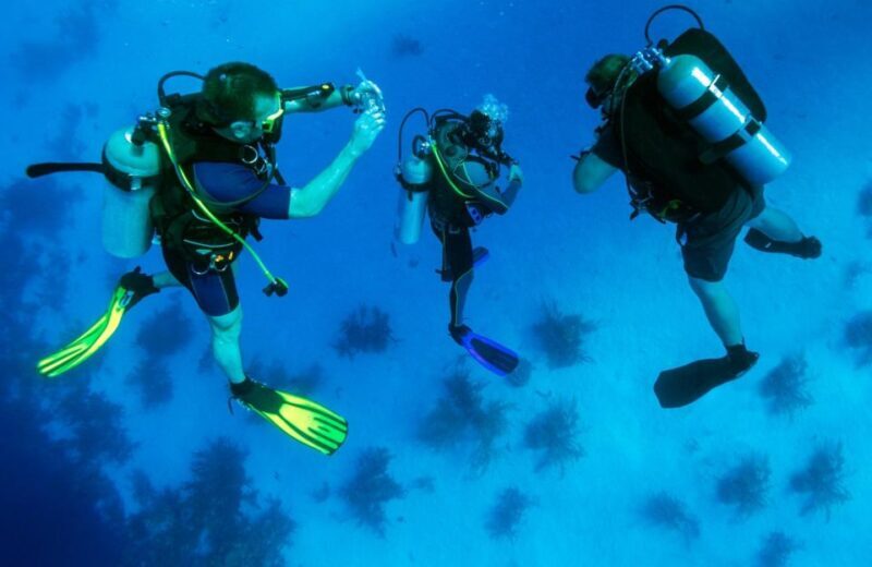 From Bodrum: Scuba Diving in the Aegean Sea - A Detailed Look at the Experience