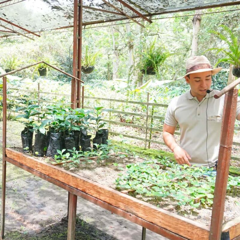 From Bogotá: Coffee Farm and Tequendama Falls Tour - From Bogotá: Coffee Farm and Tequendama Falls Tour