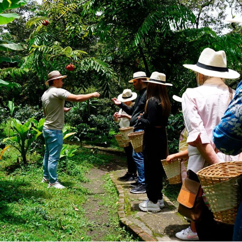From Bogotá: Coffee Farm and Tequendama Falls Tour - Key Points
