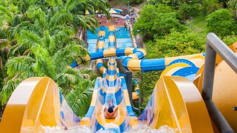 From Bogotá: Dive into Fun at Piscilago Water Park! - Key Points