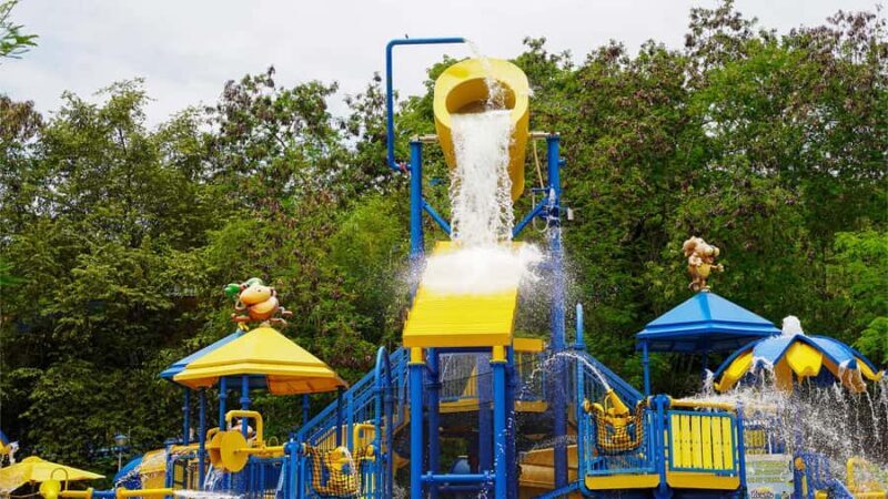 From Bogotá: Dive into Fun at Piscilago Water Park! - An In-Depth Look at Piscilago Water Park Experience