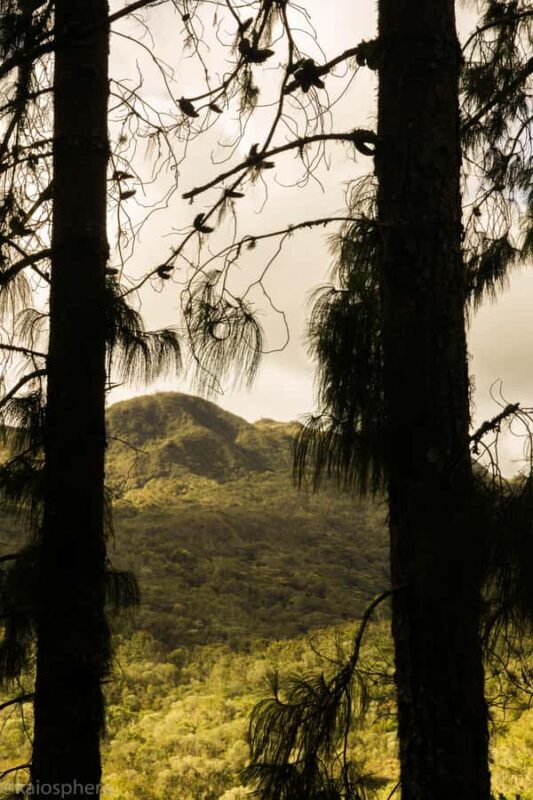 From Bogota: Explore Colombia's Andean Highlands - The Practicalities: What You Need to Know