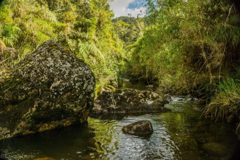 From Bogota: Explore Colombia's Andean Highlands - Final Thoughts