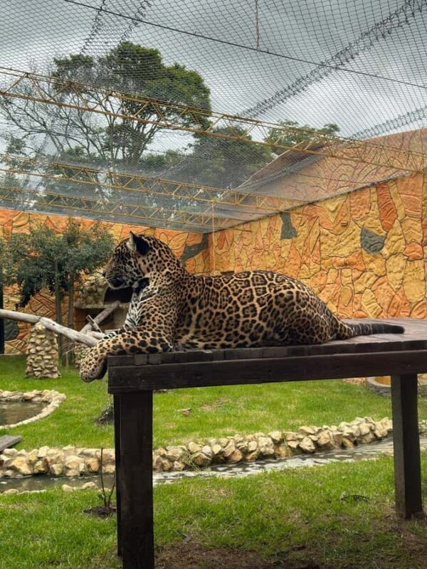 From Bogota: Jaime Duque Park and zoo with ticket included - Who Will Enjoy This Tour?