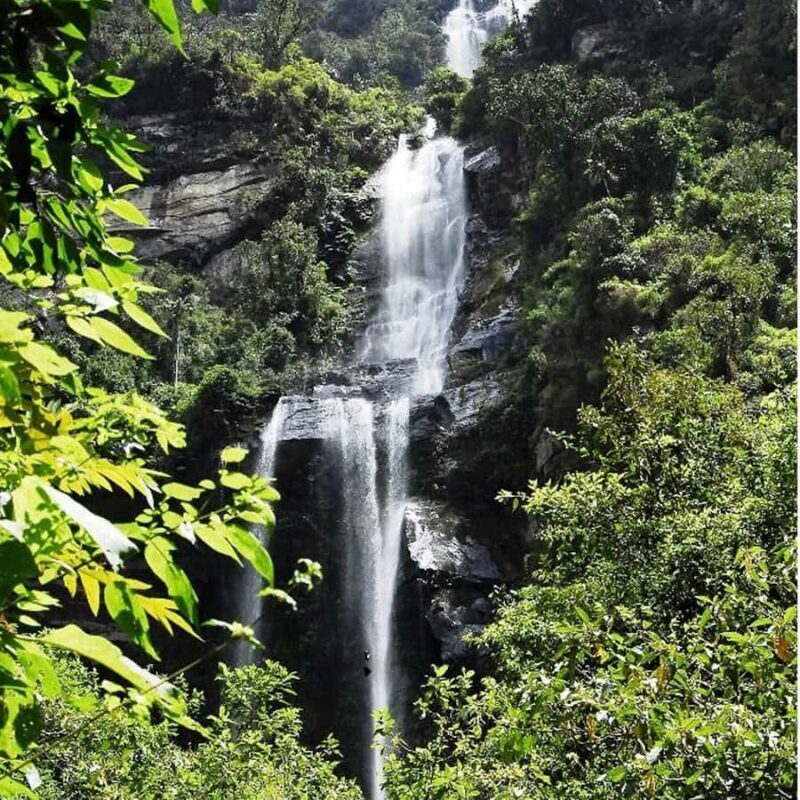 From Bogota: La Chorrera Waterfall Guided Hike - Who Will Love This Tour?
