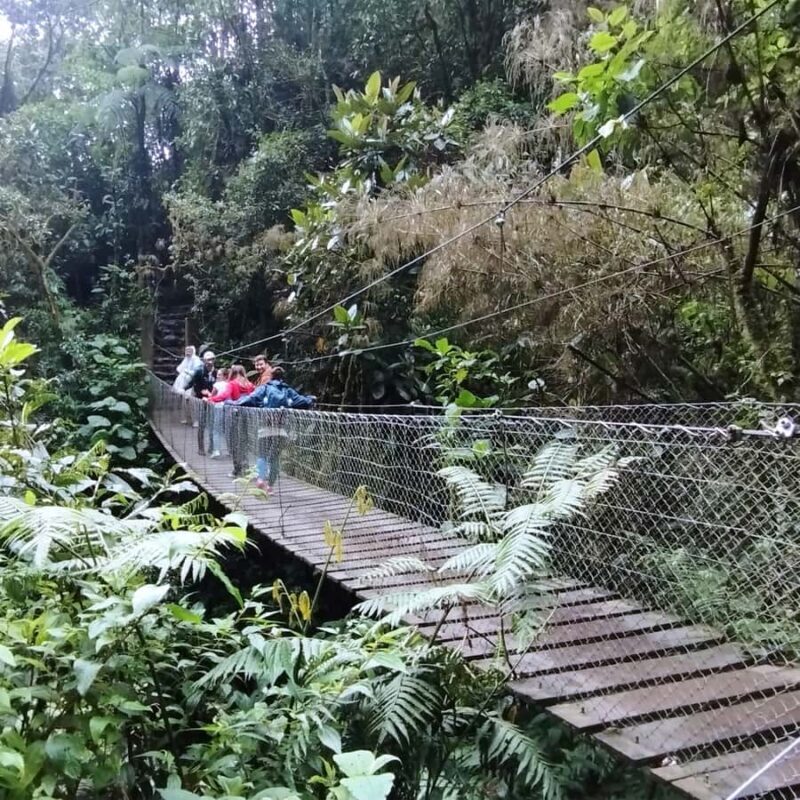 From Bogota: La Chorrera Waterfall Guided Hike - Final Thoughts: Why This Tour Offers Great Value