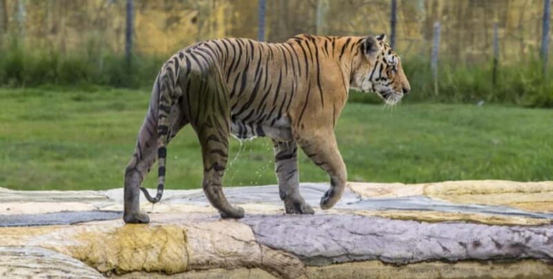 From Bogotá: Private Tour to Pablo Escobar's Theme Park - From Bogotá: Private Tour to Pablo Escobars Theme Park