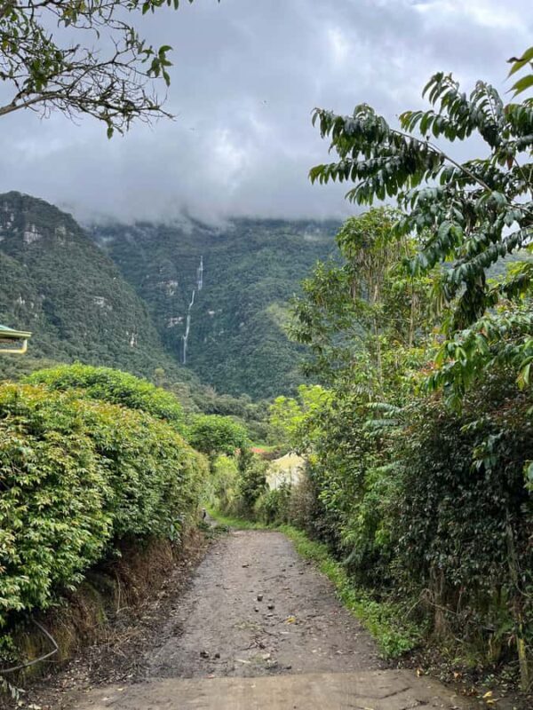 FROM BOGOTA: Tour to La Chorrera, the highest waterfall in Colombia. - Key Points