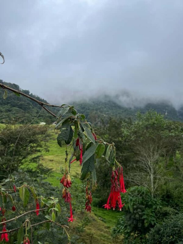 FROM BOGOTA: Tour to La Chorrera, the highest waterfall in Colombia. - A Detailed Look at the La Chorrera Tour