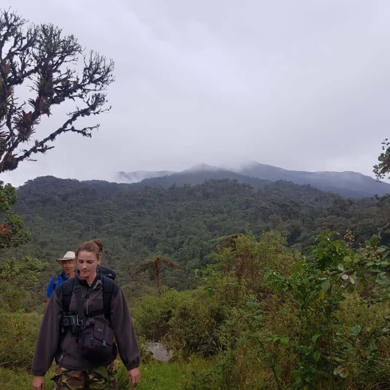 From Bogota: Trail to Choachi Andean Bear House - Trekking Through the Forest: From Cultivated Land to Pristine Wilderness