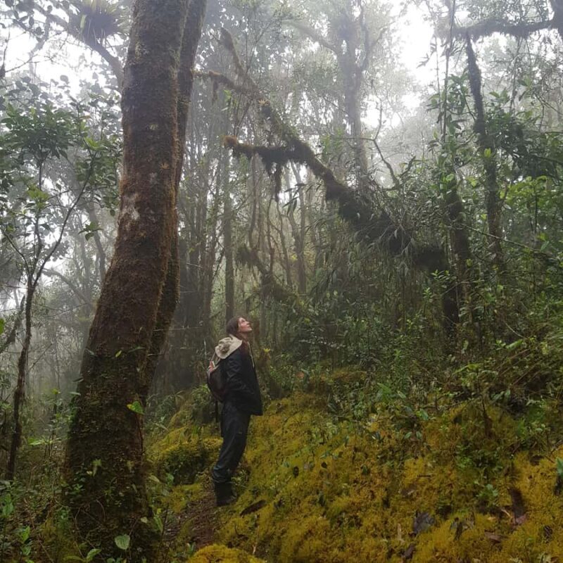 From Bogota: Trail to Choachi Andean Bear House - Practical Details & What to Expect