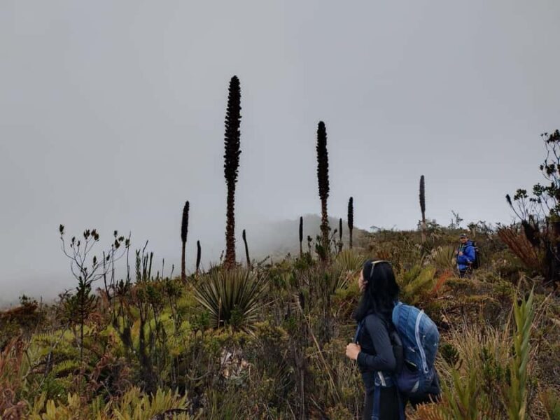 From Bogota: Trekking to the Indian Face - FAQ