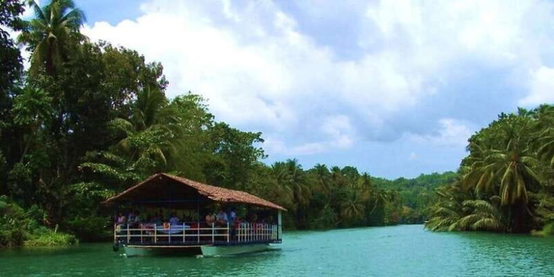 From Bohol & Panglao Island: Full-Day Bohol Tour - From Bohol & Panglao Island: Full-Day Bohol Tour