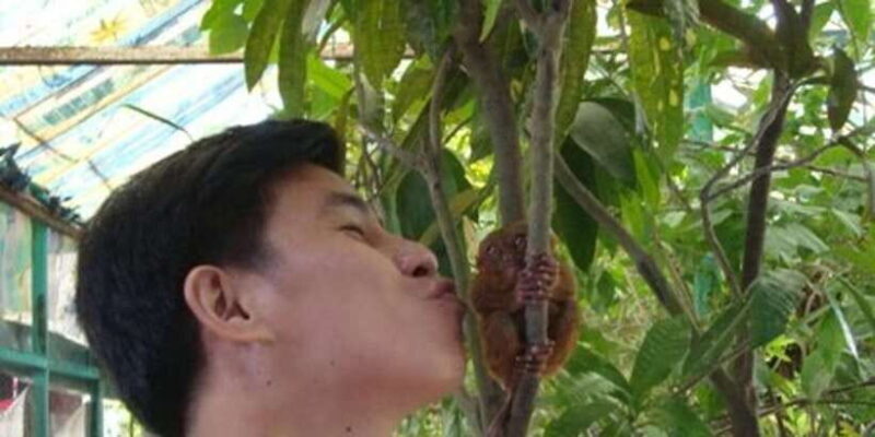 From Bohol & Panglao Island: Full-Day Bohol Tour - Key Points