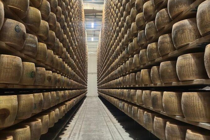 From Bologna: Parmesan Cheese & Balsamic Vinegar Tour+Lunch - A Deep Dive into the Experience