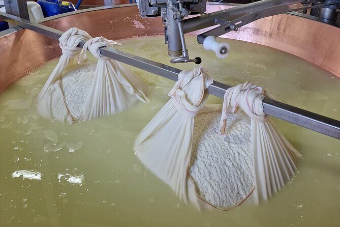 From Bologna: Parmesan Cheese & Balsamic Vinegar Tour+Lunch - Who Should Consider This Tour?