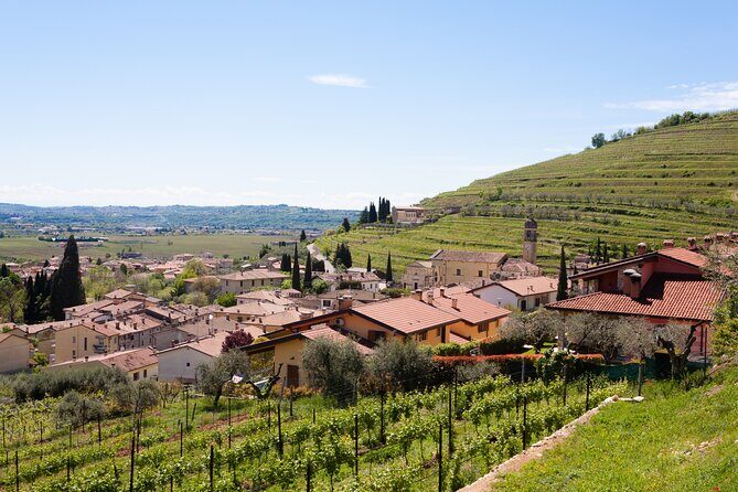 From Bologna: Verona and Valpolicella Day Tour - FAQ