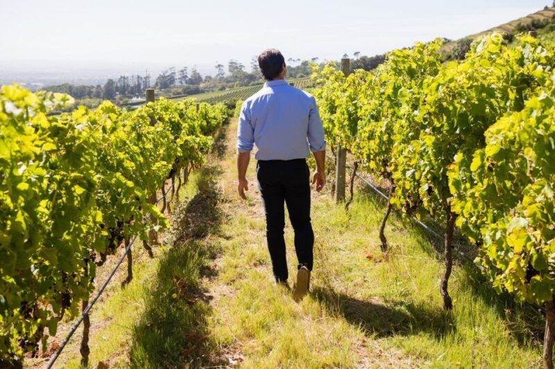 From Bologna: Wine Tasting and Vineyard Tour - Who Should Consider This Tour?