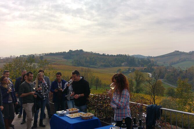 From Bologna: Wine Tasting and Vineyard Tour with the winemaker - A Detailed Look at the Experience