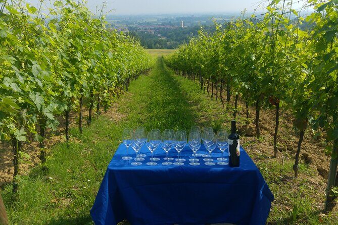 From Bologna: Wine Tasting and Vineyard Tour with the winemaker - FAQ
