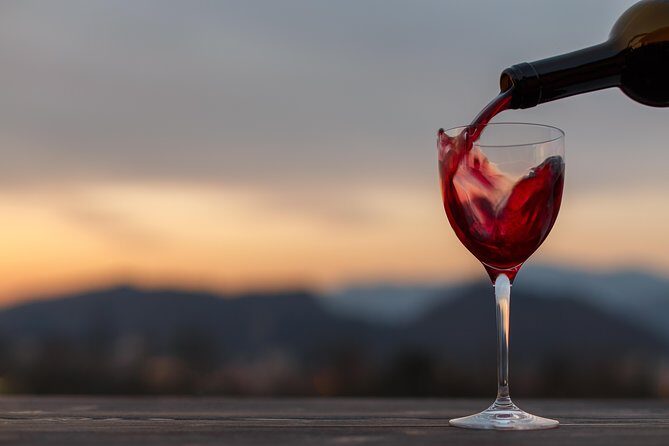 From Bologna: Wine Tasting and Vineyard Tour with the winemaker - Final Thoughts