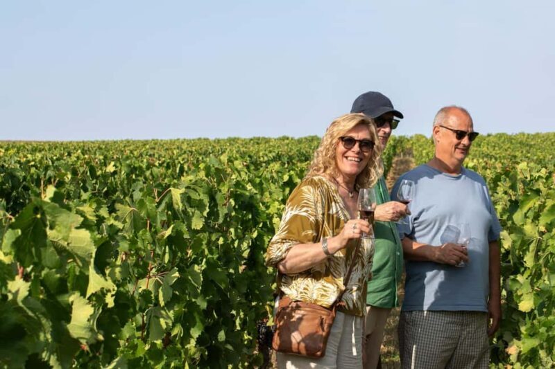From Bordeaux: Afternoon Saint-Emilion Wine Tasting Trip - Key Points