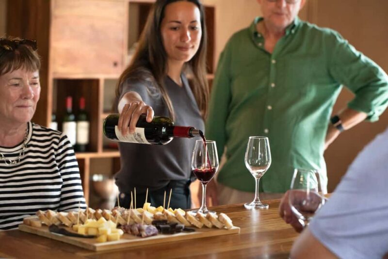From Bordeaux: Afternoon Saint-Emilion Wine Tasting Trip - Who Will Love This Tour?