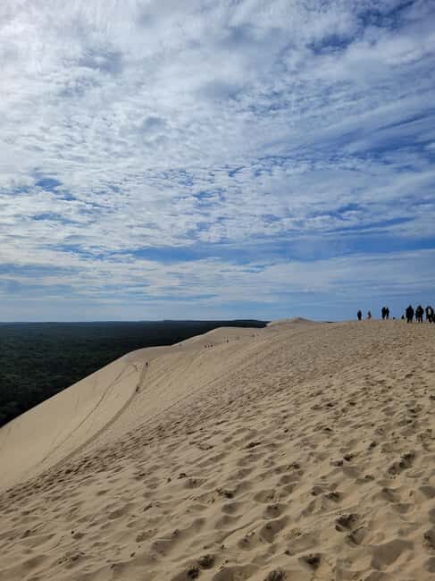From Bordeaux: Dune du Pilat, Arcachon Bay and Oyster Village Private Tour - A Deep Dive into the Dune du Pilat