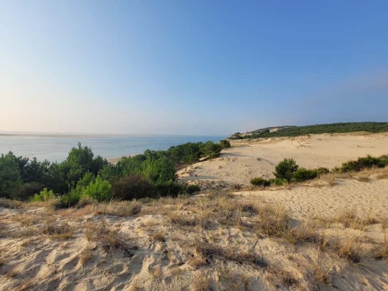 From Bordeaux: Dune du Pilat, Arcachon Bay and Oyster Village Private Tour - The Oyster Port Charm and Tasting