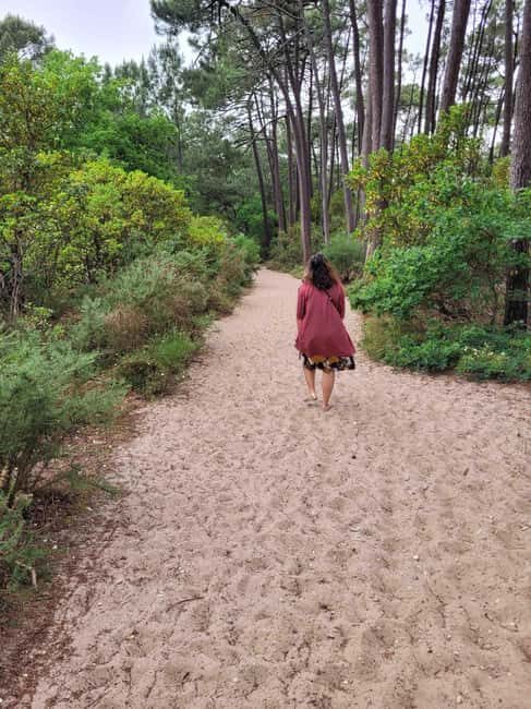 From Bordeaux: Dune du Pilat, Arcachon Bay and Oyster Village Private Tour - Practical Details and Value
