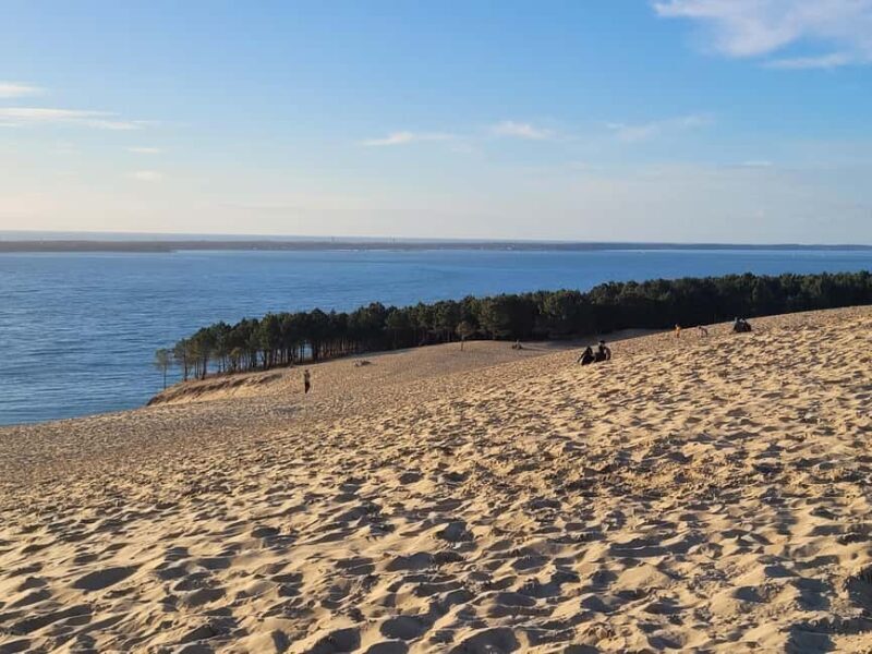 From Bordeaux: Dune du Pilat, Arcachon Bay and Oyster Village Private Tour - Final Thoughts