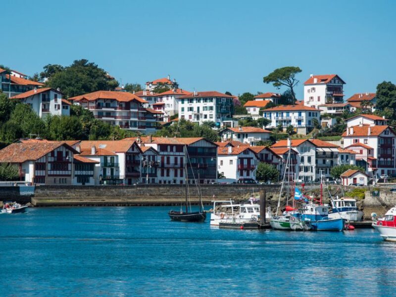 From Bordeaux: Full-Day Private Basque Country Tour - The Towns and Highlights of the Tour