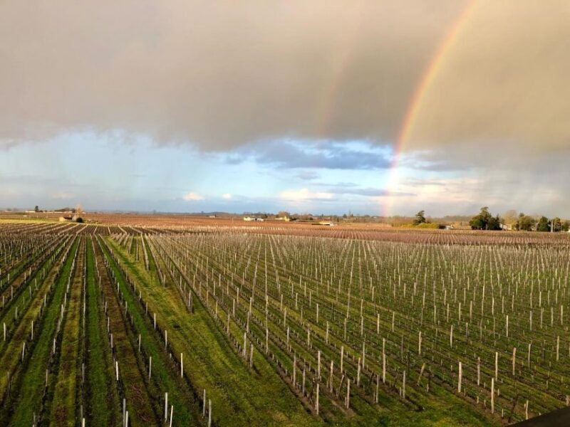 From Bordeaux: Half-Day Saint-Emilion Wine Tour - From Bordeaux: Half-Day Saint-Emilion Wine Tour