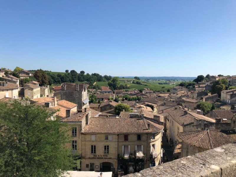 From Bordeaux: Half-Day Saint-Emilion Wine Tour - The Value of This Tour