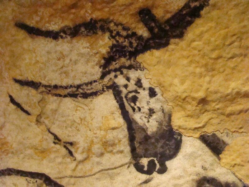 From Bordeaux: Lascaux and Dordogne Valley Private Tour - What the Reviews Say