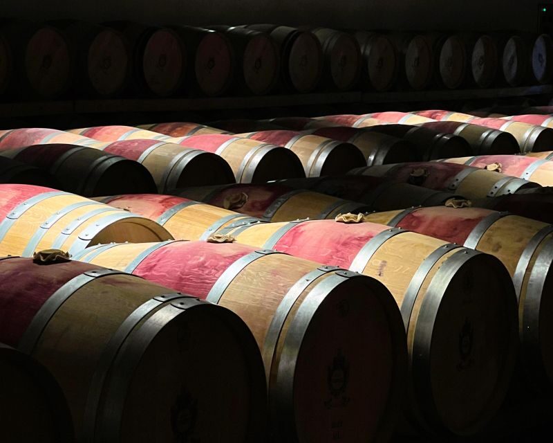 From Bordeaux: Medoc Winery Morning Tour with Wine Tasting - The Experience in Action: What Travelers Say