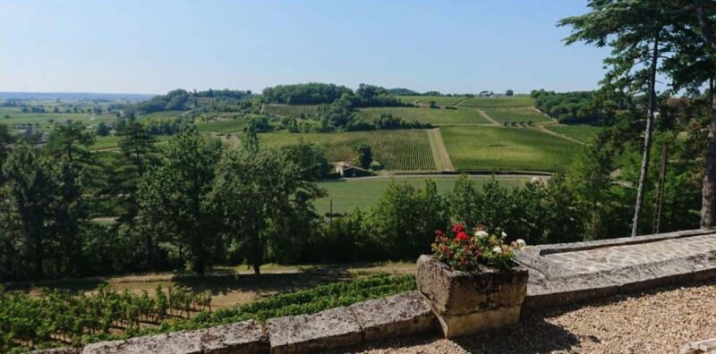 From Bordeaux: Private Tour in the Chateaux of Saint-Émilion - Why We Think This Tour Offers Great Value