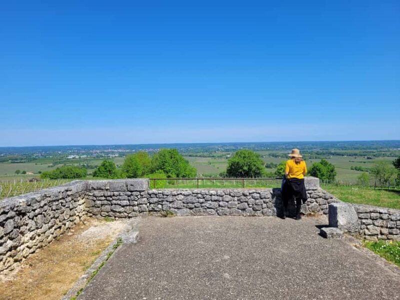 From Bordeaux: Private tour Monbazillac (Castle, Wine & Food in Dordogne) - Final Thoughts: Who Will Love This Tour?