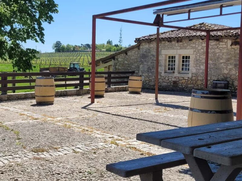 From Bordeaux: Private tour Monbazillac (Castle, Wine & Food in Dordogne) - Practical Considerations
