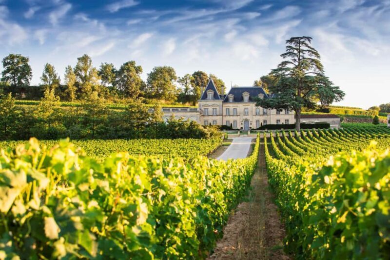 From Bordeaux: Private Wine Tour to Saint-Émilion - An In-Depth Look at the Saint-Émilion Private Wine Tour