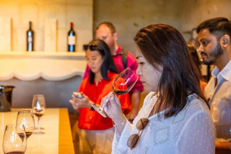 From Bordeaux: Saint-Emilion Guided Wine Tasting Tour - A Deep Dive into the Saint-Emilion Experience