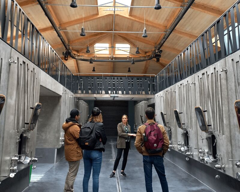 From Bordeaux: Saint-Émilion Half-Day Tour with Wine Tasting - Key Points