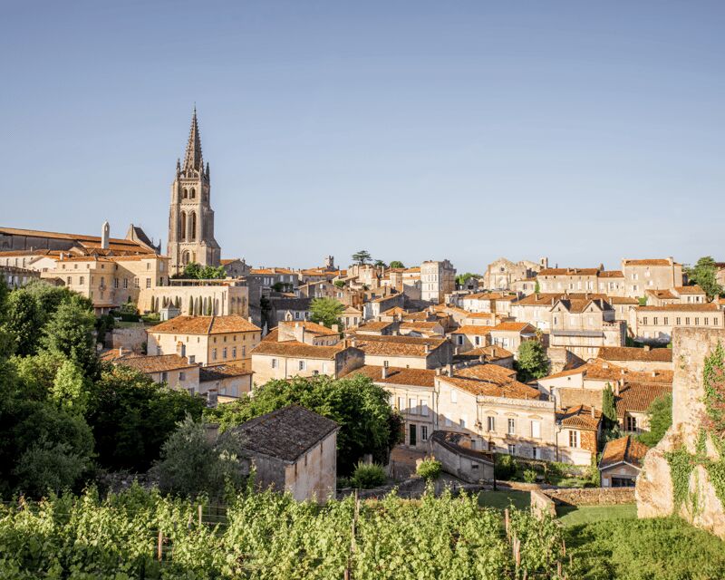 From Bordeaux: Saint-Émilion Half-Day Tour with Wine Tasting - Exploring the Saint-Émilion Experience in Detail