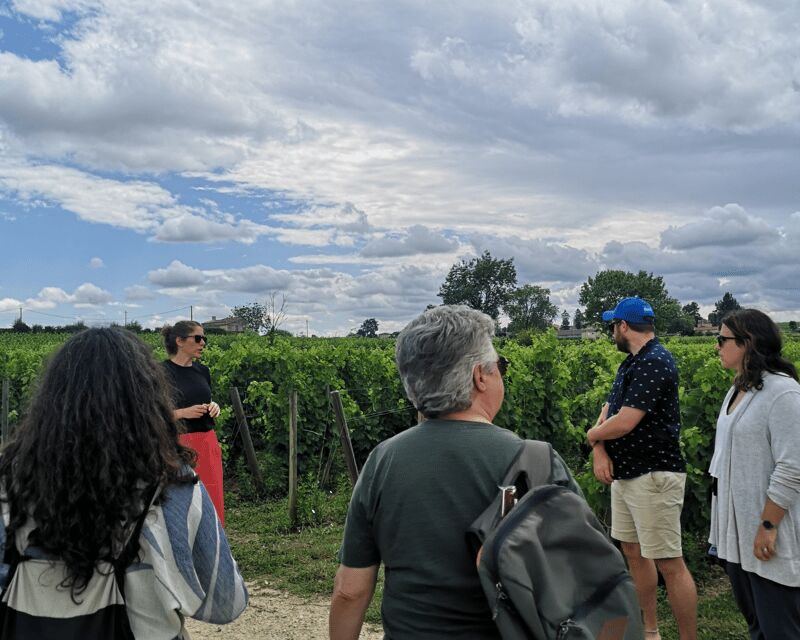 From Bordeaux: Saint-Émilion Half-Day Tour with Wine Tasting - Final Thoughts